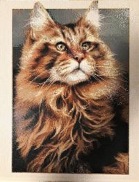 Maine Coon Diamond Painting