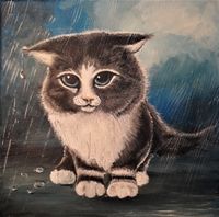 Kitten in the Rain